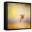 Yorkie Running into the Wind-Jai Johnson-Framed Premier Image Canvas