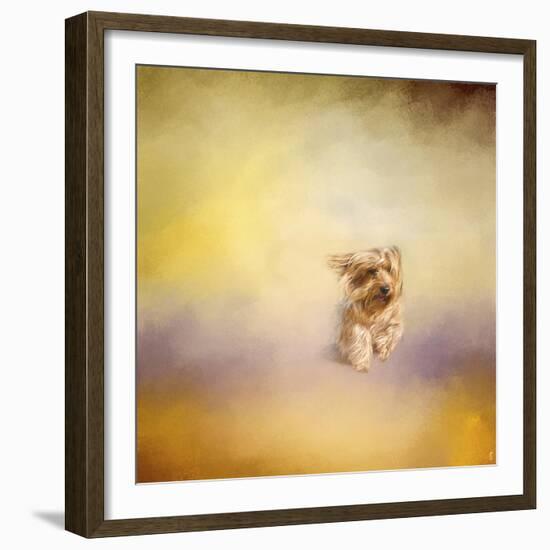 Yorkie Running into the Wind-Jai Johnson-Framed Giclee Print