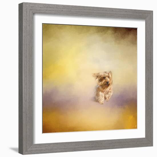 Yorkie Running into the Wind-Jai Johnson-Framed Giclee Print