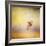 Yorkie Running into the Wind-Jai Johnson-Framed Giclee Print