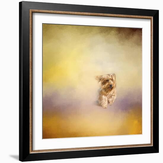 Yorkie Running into the Wind-Jai Johnson-Framed Giclee Print