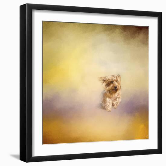 Yorkie Running into the Wind-Jai Johnson-Framed Giclee Print