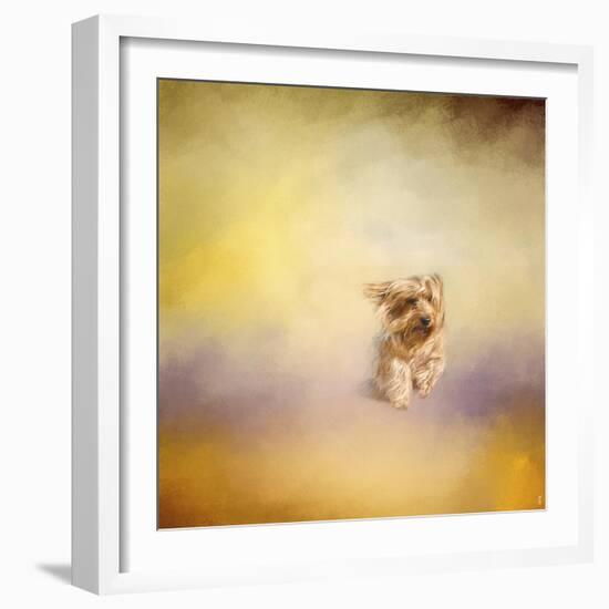 Yorkie Running into the Wind-Jai Johnson-Framed Giclee Print