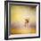 Yorkie Running into the Wind-Jai Johnson-Framed Giclee Print