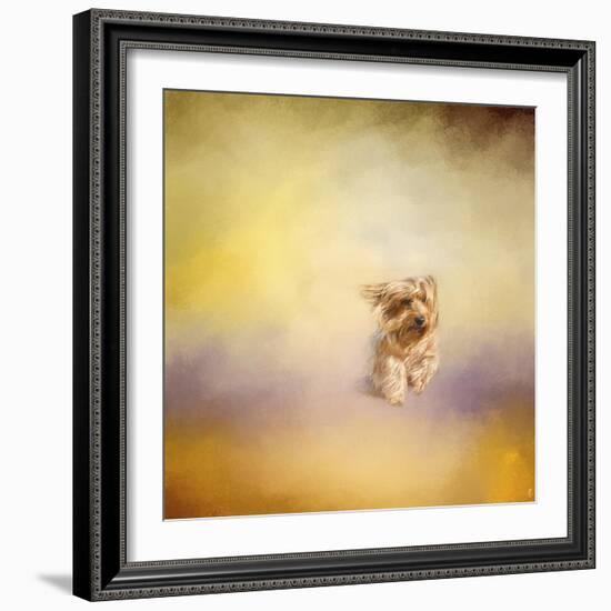 Yorkie Running into the Wind-Jai Johnson-Framed Giclee Print