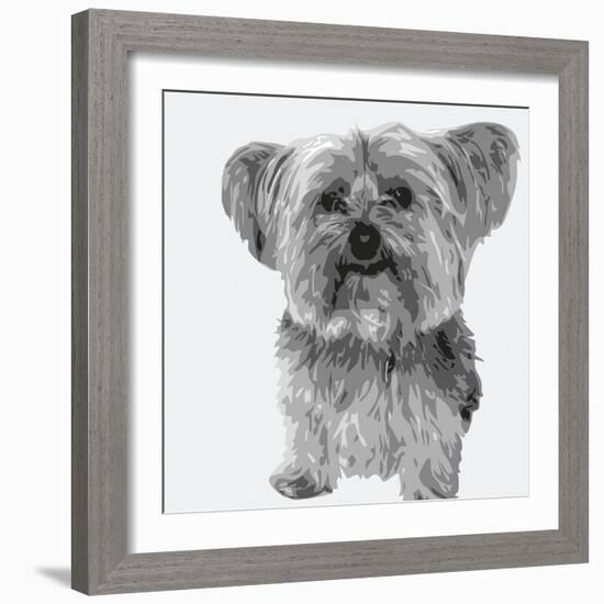 Yorkie-Emily Burrowes-Framed Giclee Print