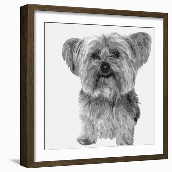 Yorkie-Emily Burrowes-Framed Giclee Print