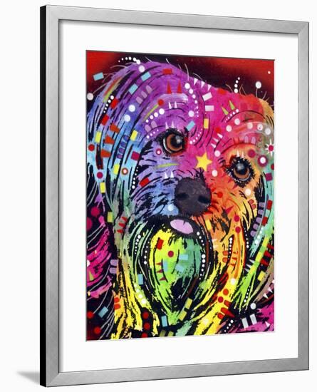 Yorkie-Dean Russo-Framed Giclee Print