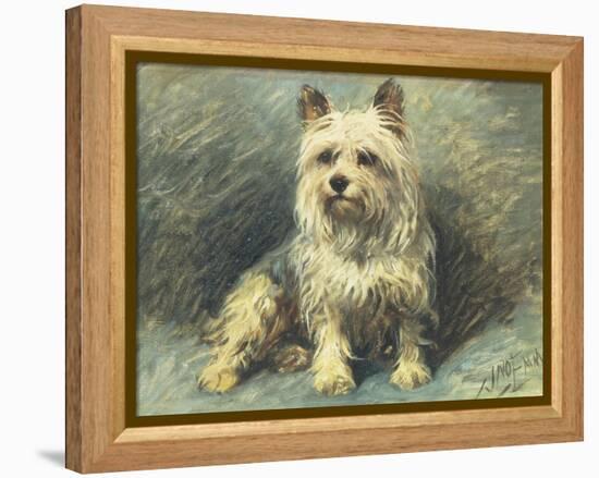 Yorkie-John Emms-Framed Premier Image Canvas