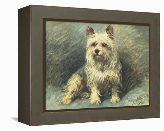 Yorkie-John Emms-Framed Premier Image Canvas