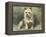 Yorkie-John Emms-Framed Premier Image Canvas