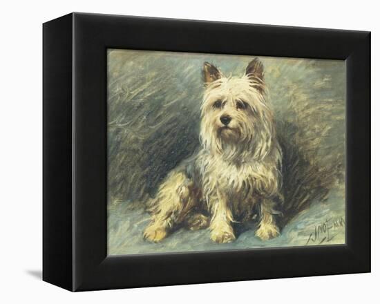 Yorkie-John Emms-Framed Premier Image Canvas