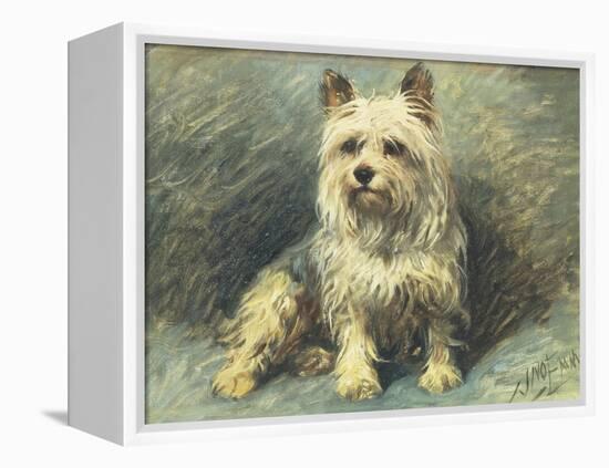 Yorkie-John Emms-Framed Premier Image Canvas