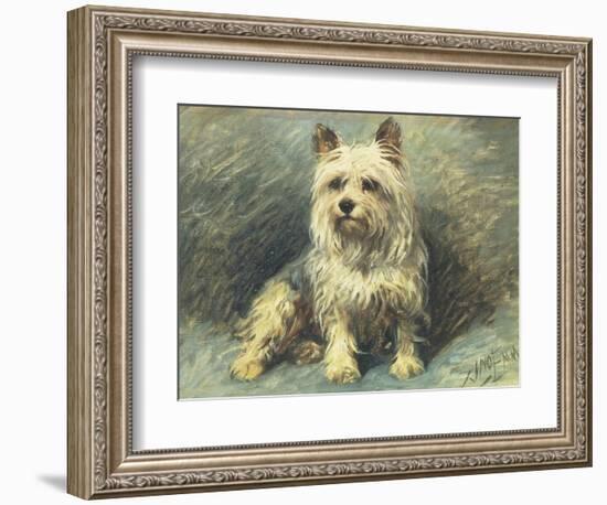 Yorkie-John Emms-Framed Giclee Print