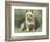 Yorkie-John Emms-Framed Giclee Print