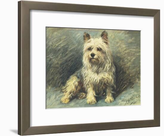 Yorkie-John Emms-Framed Giclee Print