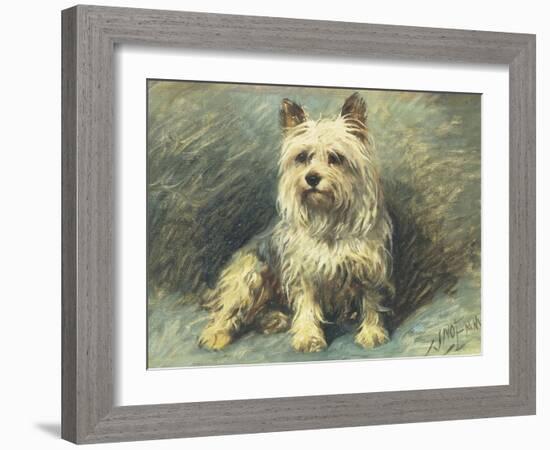 Yorkie-John Emms-Framed Giclee Print