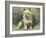 Yorkie-John Emms-Framed Giclee Print