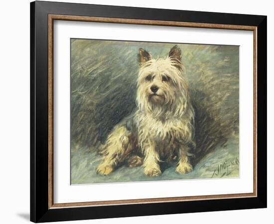 Yorkie-John Emms-Framed Giclee Print