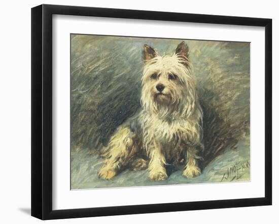 Yorkie-John Emms-Framed Giclee Print