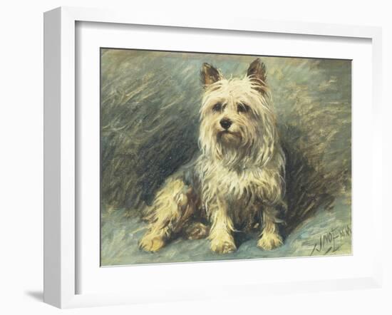 Yorkie-John Emms-Framed Giclee Print