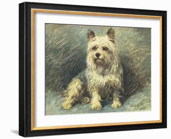 Yorkie-John Emms-Framed Premium Giclee Print