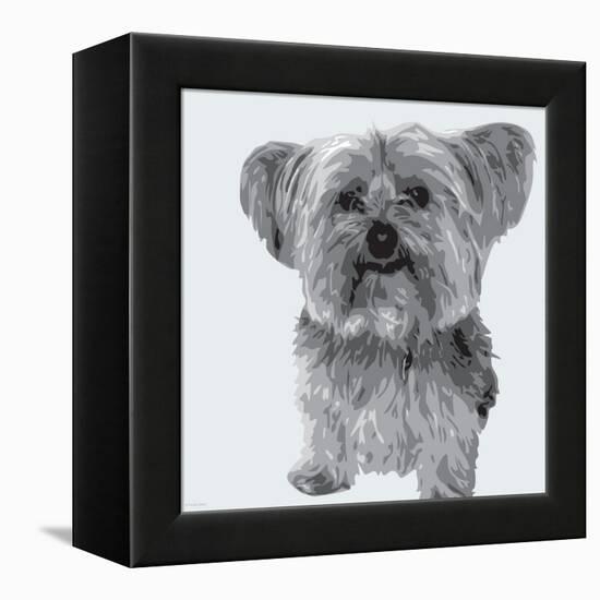 Yorkie-Emily Burrowes-Framed Stretched Canvas