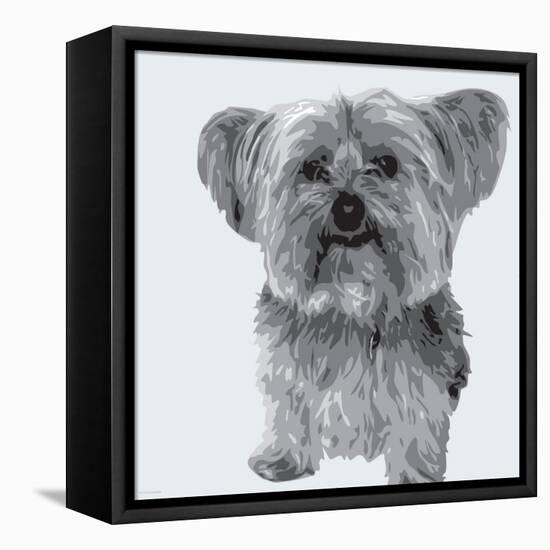 Yorkie-Emily Burrowes-Framed Stretched Canvas