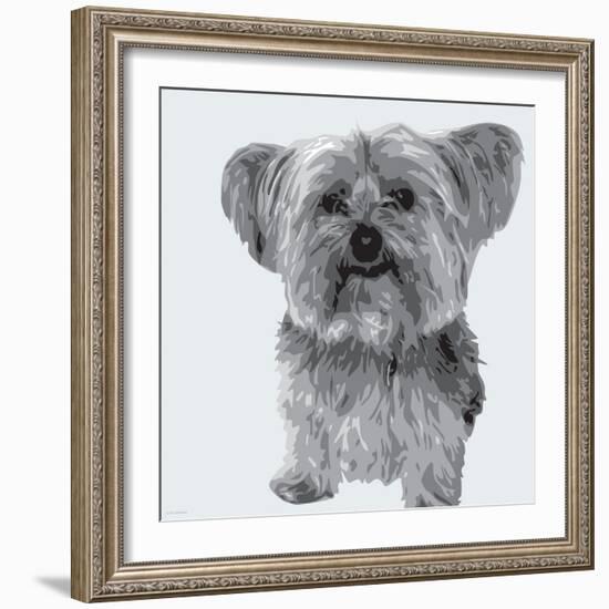 Yorkie-Emily Burrowes-Framed Art Print