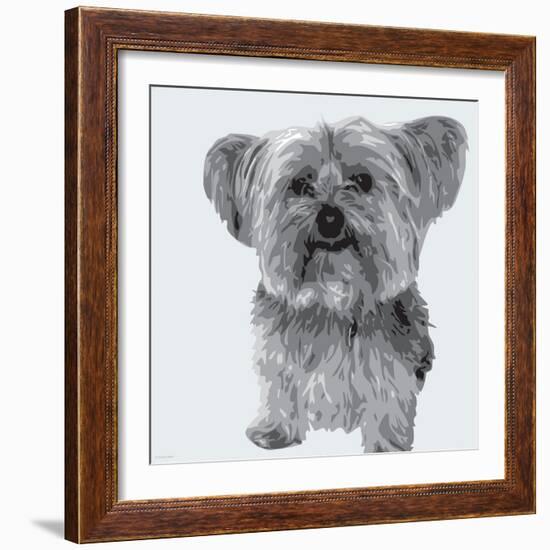 Yorkie-Emily Burrowes-Framed Art Print