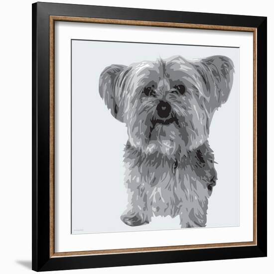 Yorkie-Emily Burrowes-Framed Art Print