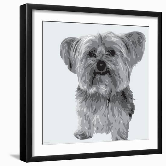 Yorkie-Emily Burrowes-Framed Art Print