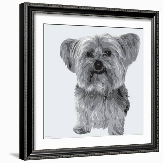 Yorkie-Emily Burrowes-Framed Art Print