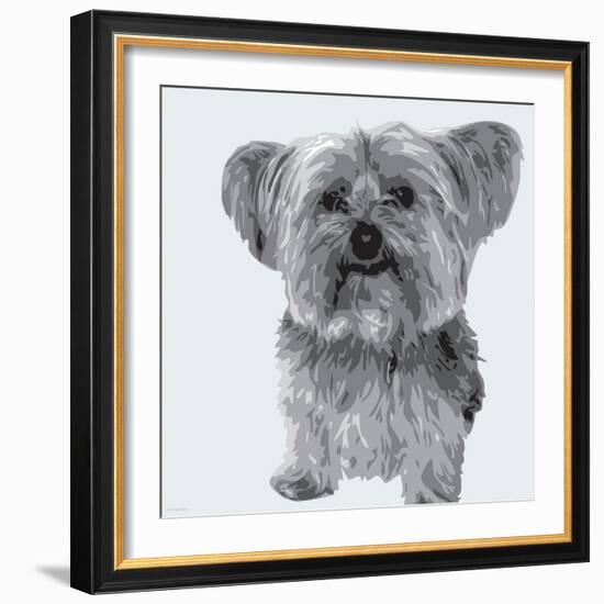 Yorkie-Emily Burrowes-Framed Art Print