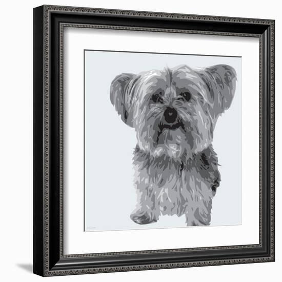 Yorkie-Emily Burrowes-Framed Art Print