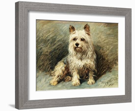 Yorkie-John Emms-Framed Giclee Print