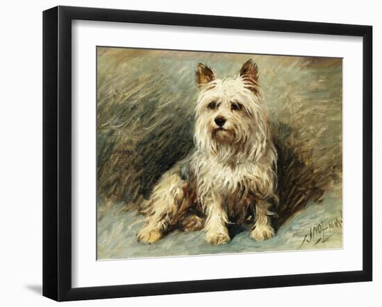 Yorkie-John Emms-Framed Giclee Print