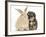 Yorkipoo Pup, 6 Weeks Old, with Sandy Rabbit-Mark Taylor-Framed Photographic Print