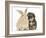 Yorkipoo Pup, 6 Weeks Old, with Sandy Rabbit-Mark Taylor-Framed Photographic Print