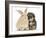 Yorkipoo Pup, 6 Weeks Old, with Sandy Rabbit-Mark Taylor-Framed Photographic Print