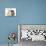 Yorkipoo Pup, 6 Weeks Old, with Sandy Rabbit-Mark Taylor-Mounted Photographic Print displayed on a wall