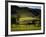 Yorkshire Dales Spring-Jody Miller-Framed Photographic Print