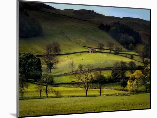 Yorkshire Dales Spring-Jody Miller-Mounted Photographic Print