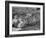 Yorkshire Hogs Smirking with Comfort in Pen on Curtiss Farms Owned by the Curtiss Candy Co.-Wallace Kirkland-Framed Photographic Print