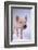 Yorkshire Piglet-DLILLC-Framed Photographic Print