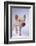 Yorkshire Piglet-DLILLC-Framed Photographic Print