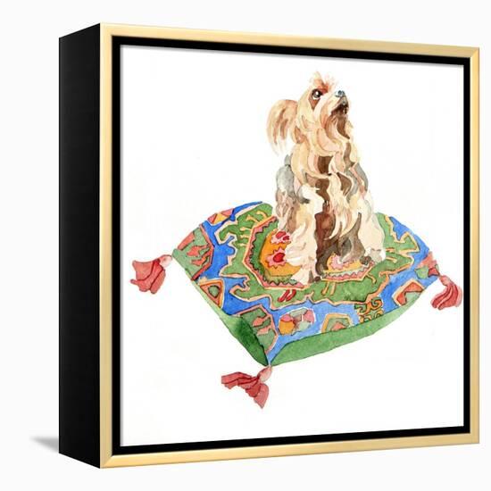 Yorkshire Terrier, 2012-Jennifer Abbott-Framed Premier Image Canvas