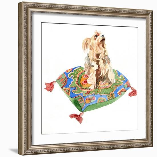 Yorkshire Terrier, 2012-Jennifer Abbott-Framed Giclee Print