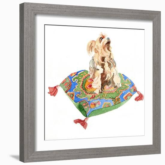 Yorkshire Terrier, 2012-Jennifer Abbott-Framed Giclee Print