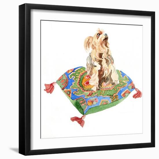 Yorkshire Terrier, 2012-Jennifer Abbott-Framed Giclee Print